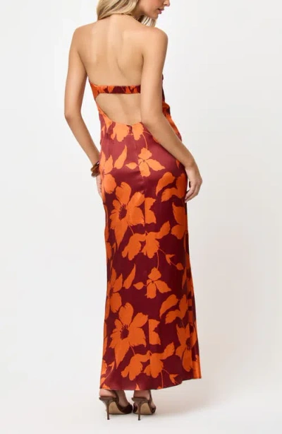 L*space Lspace Spring In Brown