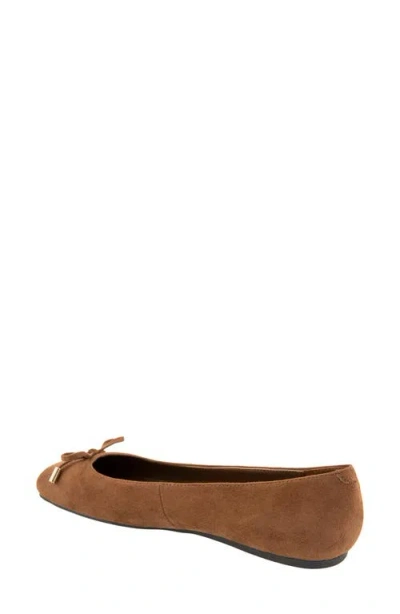 Bcbg Hartly Bow Ballet Flat In Brown