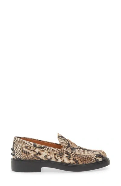 Tod's Python Embossed Leather Penny Loafer In Brown