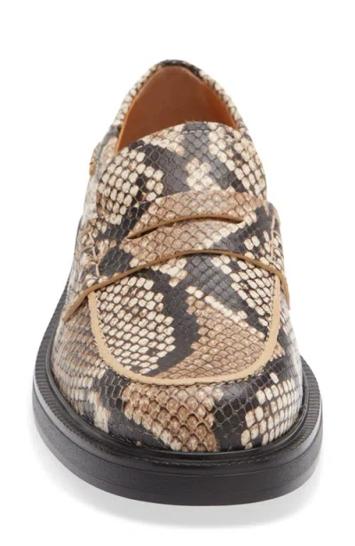Tod's Python Embossed Leather Penny Loafer In Brown