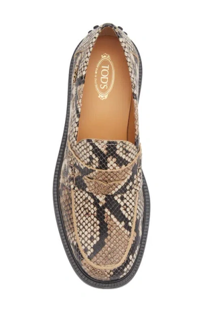 Tod's Python Embossed Leather Penny Loafer In Brown