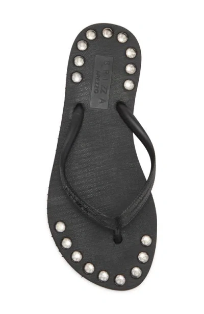 Brizza Studded Flip Flop In Black
