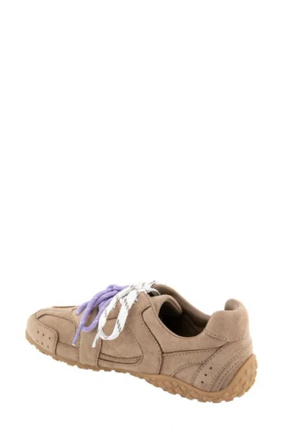Bcbg Offry Sneaker In Multi