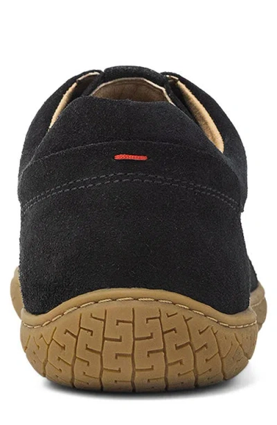 Piloti Shift Sneaker In Brown