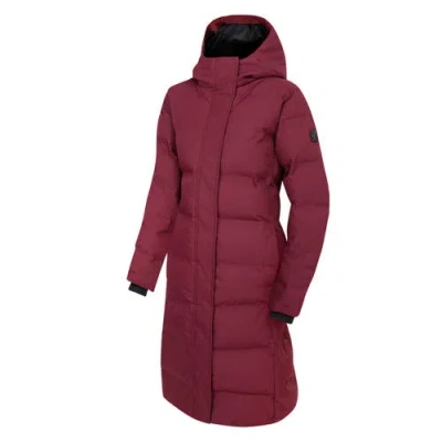 Dare 2b Wander Padded Jacket In Fig