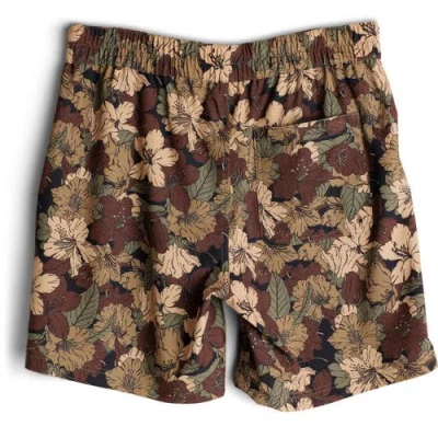 Kavu Costa Short In Multi