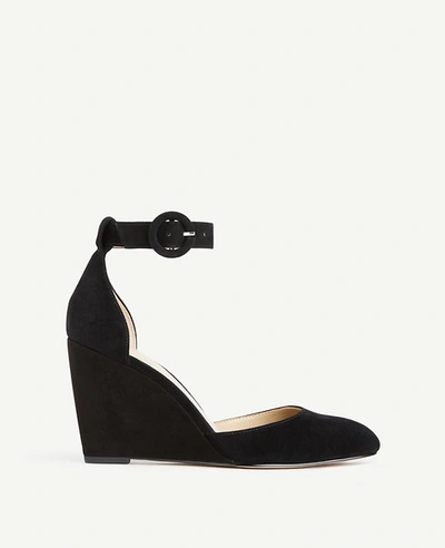 Ann Taylor Edith Suede Wedges In Black