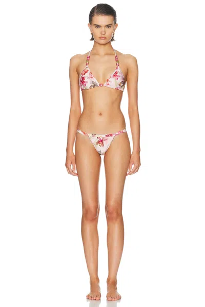 Patbo Orchid Bloom Lycra Bikini Bottom In Multi