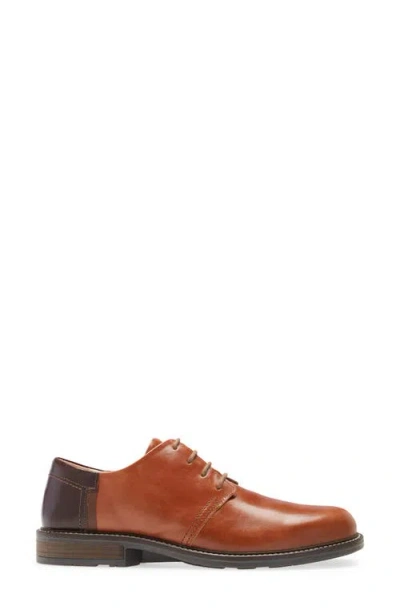 Naot Plain Toe Derby In Brown
