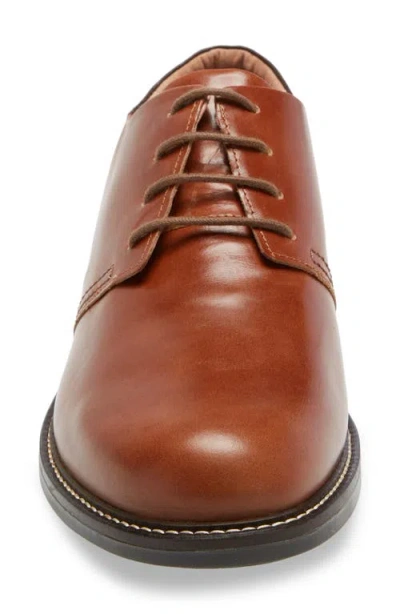 Naot Plain Toe Derby In Brown