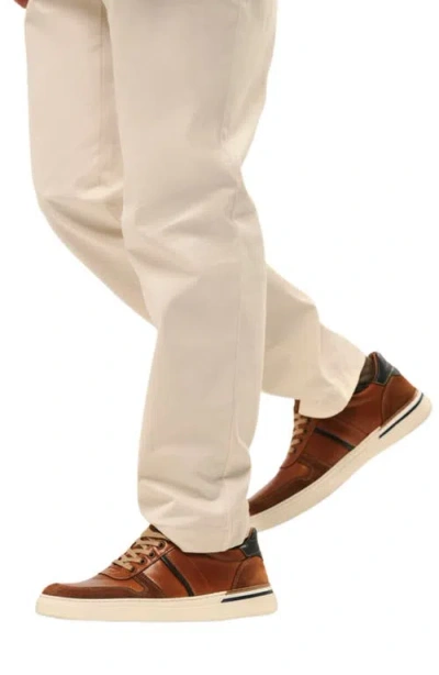 Naot Swift Sneaker In Multi