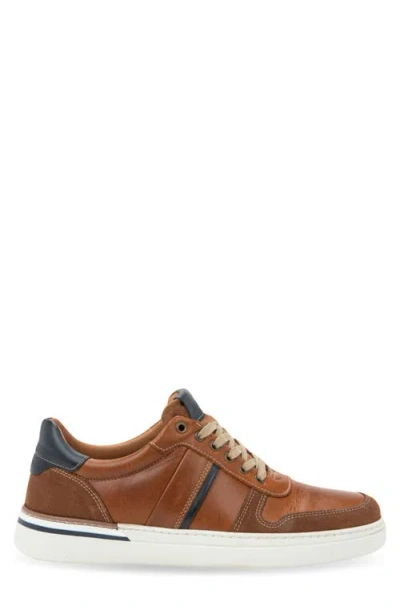 Naot Swift Sneaker In Multi