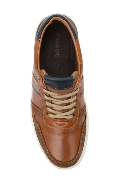 Naot Swift Sneaker In Multi