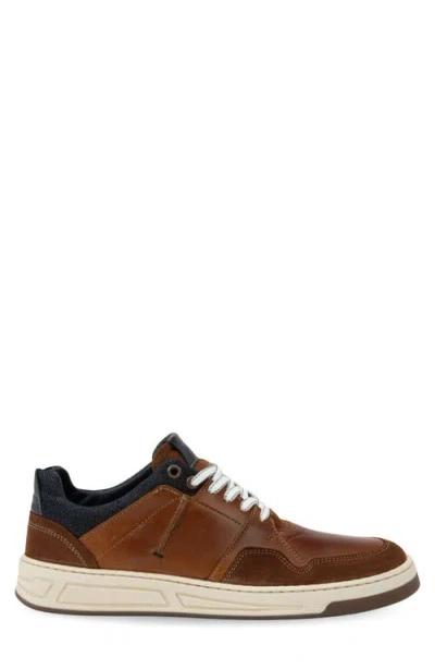 Naot Speed Sneaker In Multi