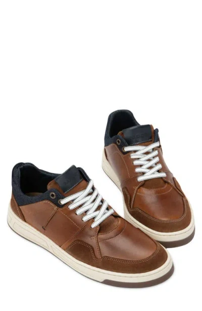 Naot Speed Sneaker In Multi