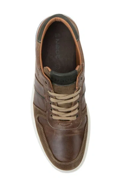 Naot Swift Sneaker In Multi