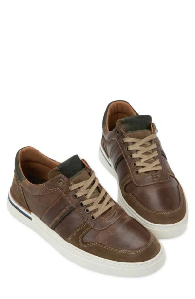 Naot Swift Sneaker In Multi