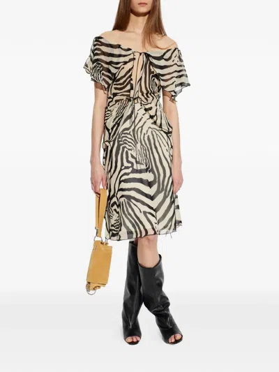 Iro Zebra-print Ruffled Top In Multi