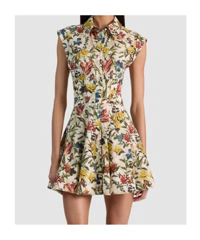 Alice And Olivia Kim Paneled Corset Flared Mini Shirt Dress Desert Springs Vanilla In Multi