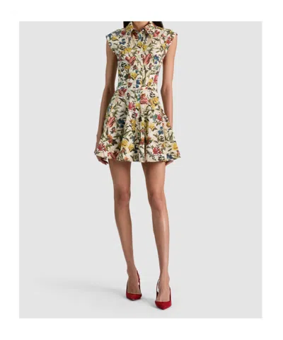 Alice And Olivia Kim Paneled Corset Flared Mini Shirt Dress Desert Springs Vanilla In Multi
