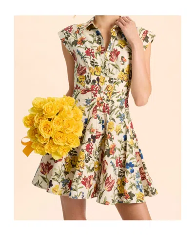 Alice And Olivia Kim Paneled Corset Flared Mini Shirt Dress Desert Springs Vanilla In Multi