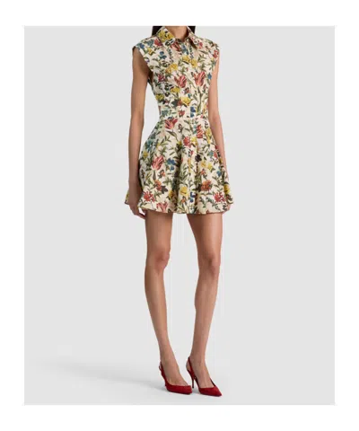 Alice And Olivia Kim Paneled Corset Flared Mini Shirt Dress Desert Springs Vanilla In Multi