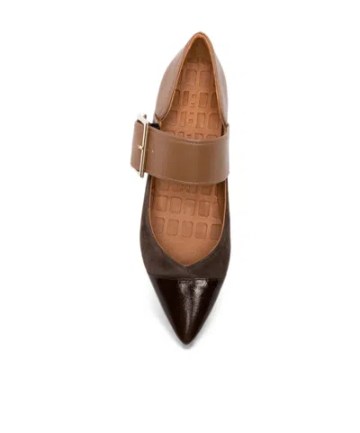 Chie Mihara Hebas Buckle-strap Pointed-toe Pumps In Dark Brown
