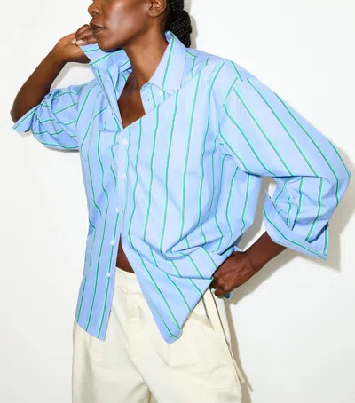 Max & Co . Stripe Plot Twist Shirt In Blue