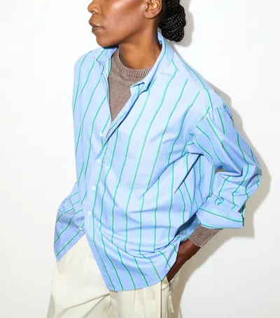 Max & Co . Stripe Plot Twist Shirt In Blue