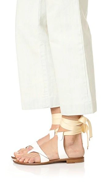 Shop Sarah Flint Grear Lace Up Sandals In White