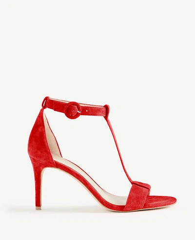 Ann Taylor Demi Suede T-strap Sandals In Ravishing Red