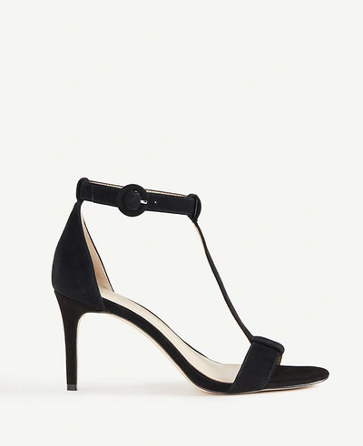 Ann Taylor Demi Suede T-strap Sandals In Black