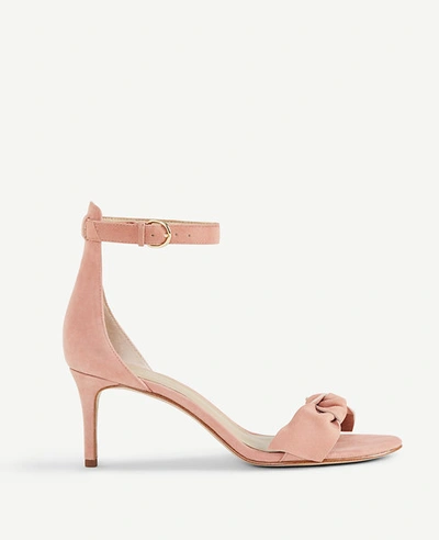 Ann Taylor Erica Suede Bow Sandals In Paloma