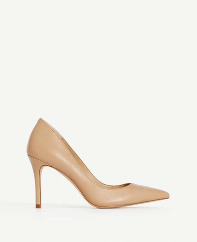Shop Ann Taylor Mila Leather Pumps In Camel
