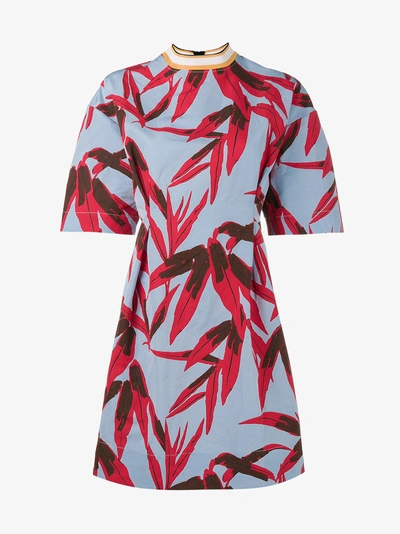 Shop Marni Leaf Print Skater Dress In Blue