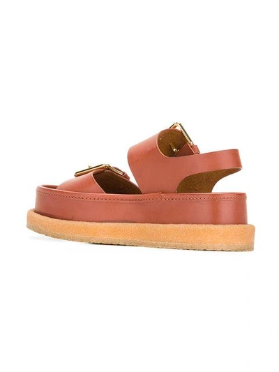Shop Stella Mccartney Buckle Sandals In Brown