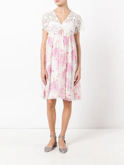 Shop Giamba Flamingos Print Dress