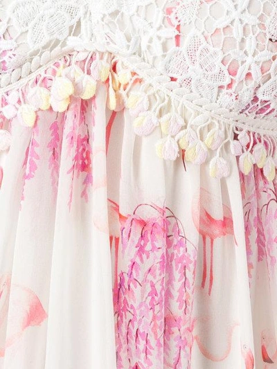 Shop Giamba Flamingos Print Dress