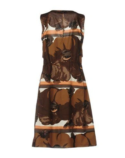 Shop Marni Knee-length Dresses In Brown