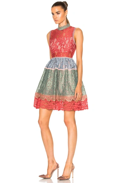 Shop Alexis Vedette Dress In Multicolor Lace