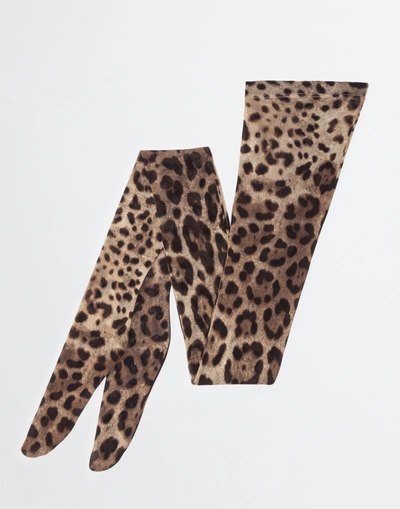 Dolce & Gabbana Leopard-print Nylon Socks In Leo Print