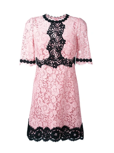 Dolce & Gabbana Embroidered Lace Shift Dress In Pink