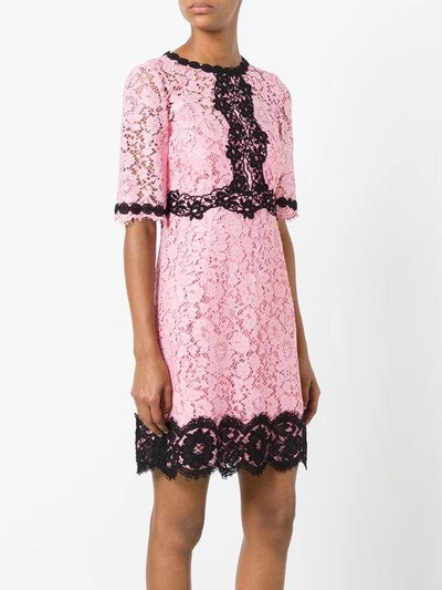 Shop Dolce & Gabbana Lace Dress