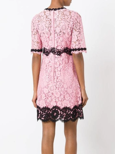 Shop Dolce & Gabbana Lace Dress