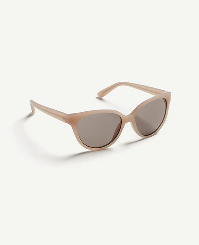 Ann Taylor Cateye Sunglasses In Maple Blush