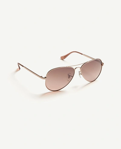 Ann Taylor Aviator Sunglasses In Maple Blush
