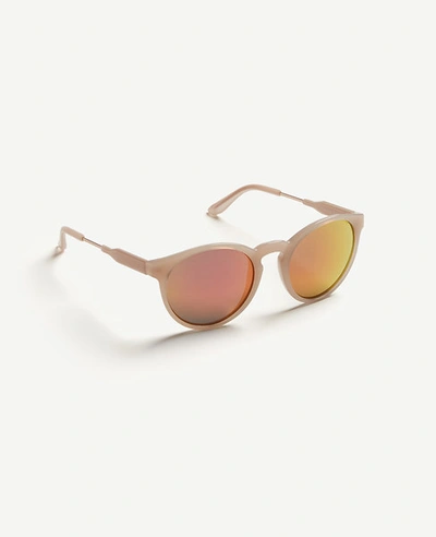 Ann Taylor Pantos Round Sunglasses In Maple Blush