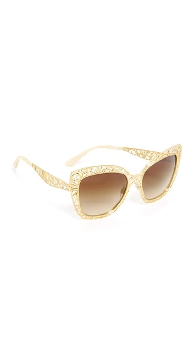 Dolce & Gabbana Metal Butterfly Sunglasses In Gold/brown