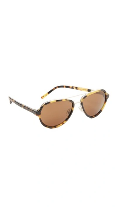 3.1 Phillip Lim / フィリップ リム Women's Aviator Sunglasses, 59mm In Tortoiseshell/brown