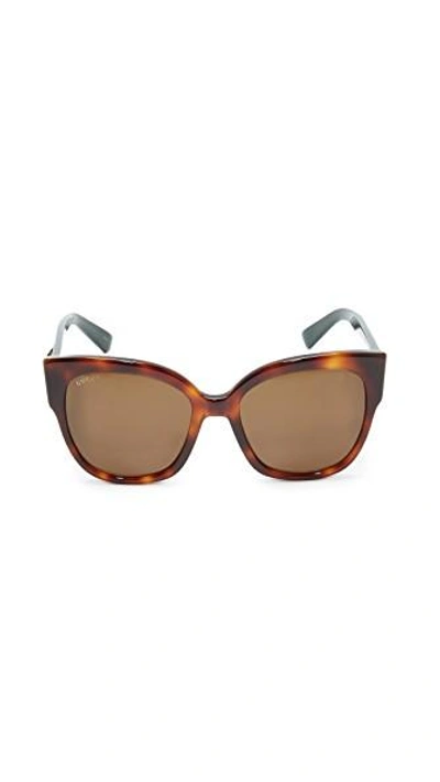 Shop Gucci Oversized Tiger Sunglasses In Havana/brown